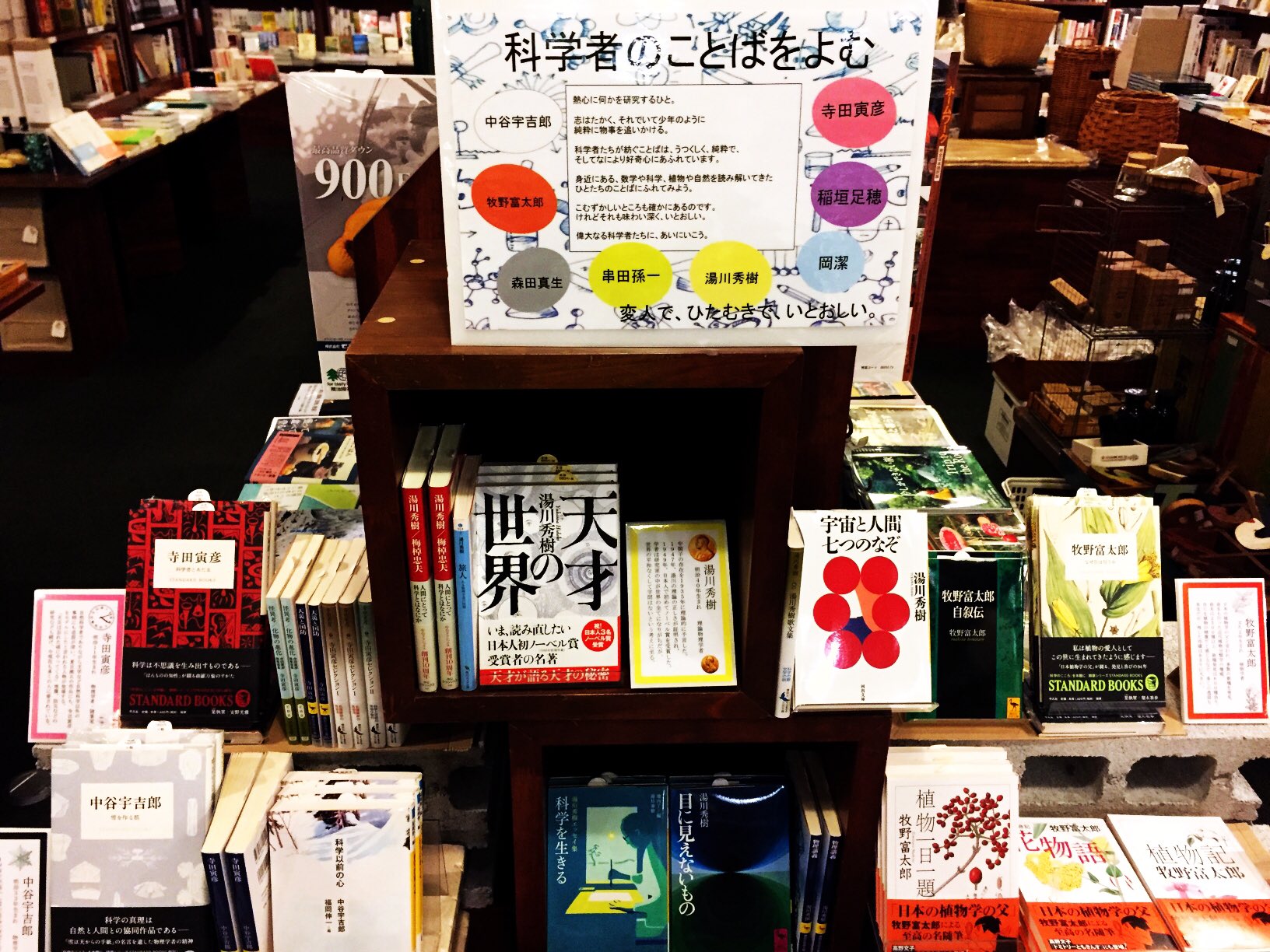 スタンダードブックストア 心斎橋book Bfにて 科学者のことばをよむ フェアスタートしました 寺田寅彦 中谷宇吉郎 岡潔 森田真生 串田孫一 稲垣足穂 野尻抱影 牧野富太郎 フェアの詳細やきっかけはインスタにて 上質な言葉に出会ってもらえる スタンダードブックストア 心斎橋book Bfにて 科学者のことばをよむ フェアスタートしました 寺田寅彦 中谷宇吉郎 岡潔 森田真生 串田孫一 稲垣足穂 野尻抱影 牧野富太郎 フェアの詳細やきっかけはインスタにて 上質な言葉に出会ってもらえる
