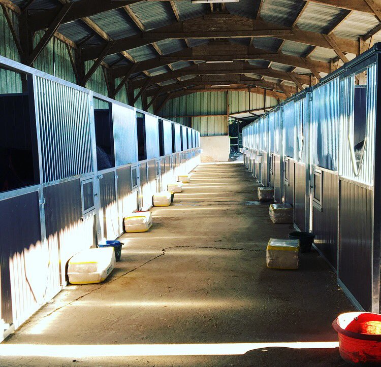 CBloodstock's tweet photo. We are so excited to finally have our new @WStables up and running. The horses are delighted too, despite the freezing temperatures! 🐎🐎🏛🏛 https://t.co/qal7P26Uzc