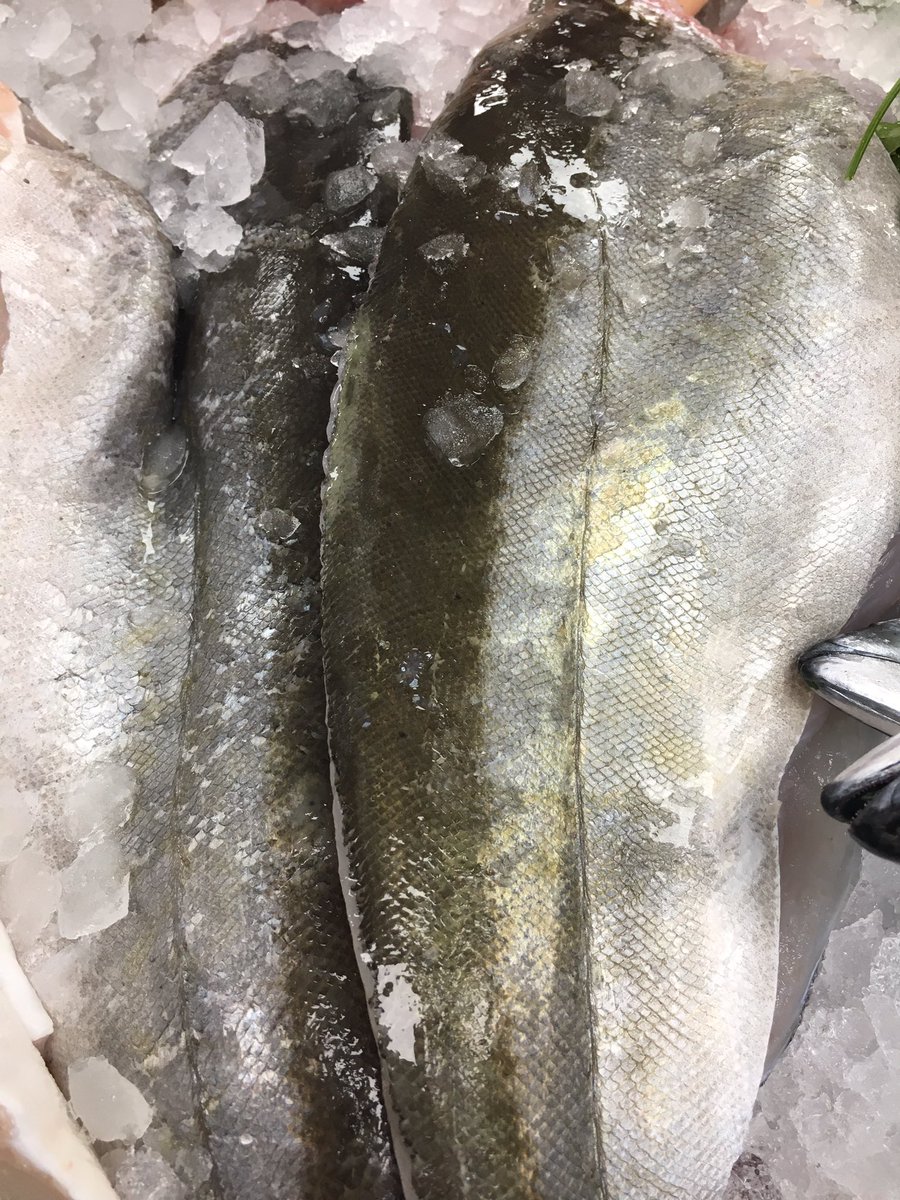 Passion4fish's tweet photo. Absolute beauties as usual. Thanks @cornish_lobster Tiago's busy filleting all your fabulous fish 🔪🐟🔪🐟#quality #CornishPollack #CornishCod https://t.co/PHJU7Z1UUV