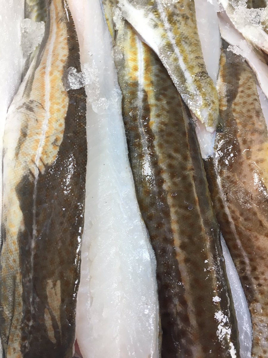 Passion4fish's tweet photo. Absolute beauties as usual. Thanks @cornish_lobster Tiago's busy filleting all your fabulous fish 🔪🐟🔪🐟#quality #CornishPollack #CornishCod https://t.co/PHJU7Z1UUV