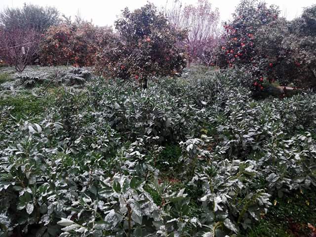 Junta_SantaCruz's tweet photo. Éstas bonitas imágenes nos deja la nevada en nuestra pedanía. https://t.co/wDzFNvvrl4