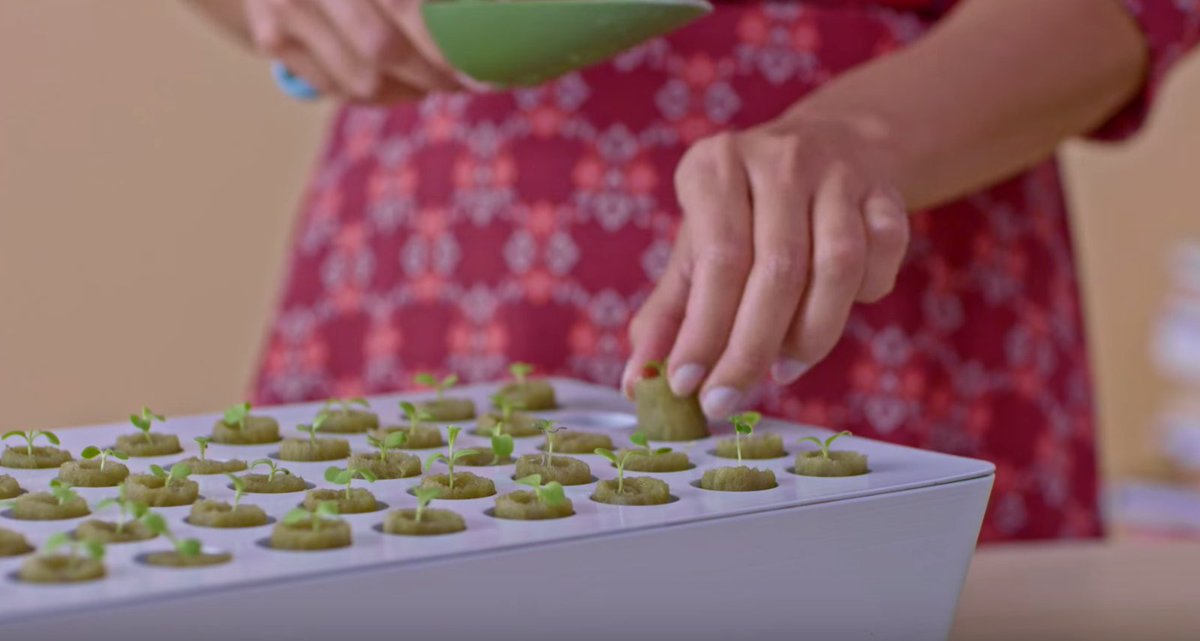 HydroponicsKit's tweet photo. IKEA's mainstream version of hydroponics. Not the best, but a cost efficient introduction to gear up for real! https://t.co/iCgQ4GTPm8 https://t.co/R5YvPScgmr