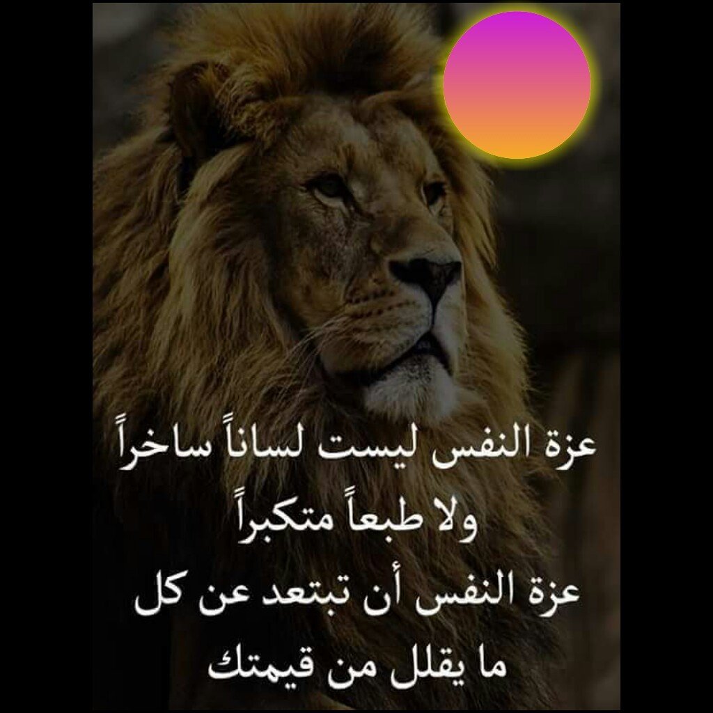 Mahmoud (@abaaswwmn705) on Twitter photo 