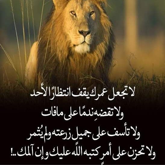 Mahmoud (@abaaswwmn705) on Twitter photo 