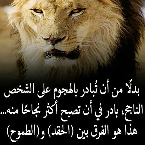 Mahmoud (@abaaswwmn705) on Twitter photo 