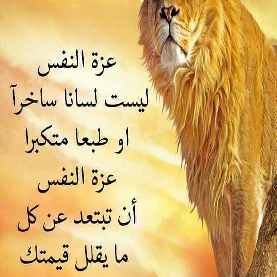 Mahmoud (@abaaswwmn705) on Twitter photo 