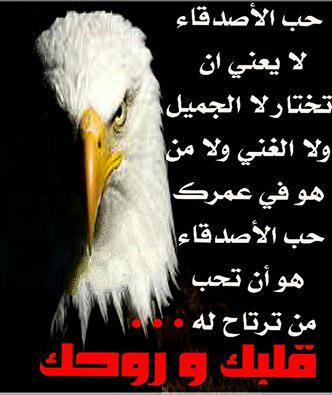 Mahmoud (@abaaswwmn705) on Twitter photo 