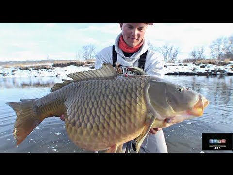 FishingHQNet's tweet photo. #fishing Winter Flyfishing Shaker - Uncut Angling - January 31, 2013 - https://t.co/i4pEwhq3zg #RT #Retweet https://t.co/rCbMeycT0c