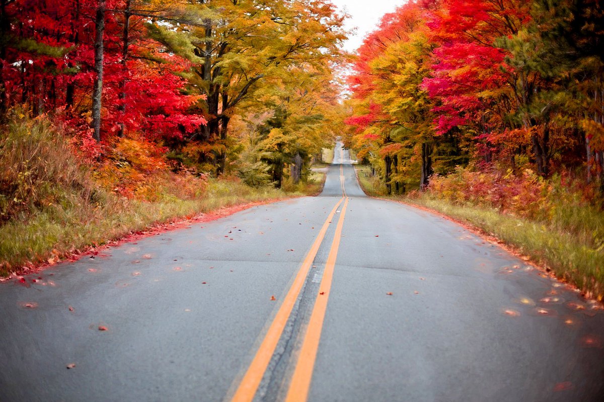 Hd Wallpapers On Twitter Amazing Autumn Download More Amazing Hd Images, Photos, Reviews