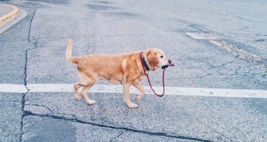 when you have to teach yourself a subject because your teacher is useless