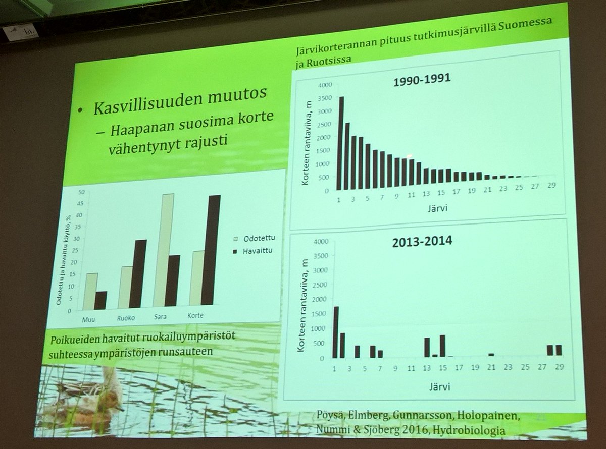 Taantuneen haapanan suosima korte on vähentynyt rajusti, kertoo elinympäristöjen muutoksesta Sari Holopainen <a href="/helsinkiuni/">University of Helsinki</a>  #Riistapäivät