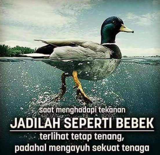 hustamz's tweet photo. Sudah. BAR analisis dan data dukung lain sudah perjalanan ke Jakarta dikawal petugas pusat, laporan selesai! https://t.co/jYS0DLJqtD
