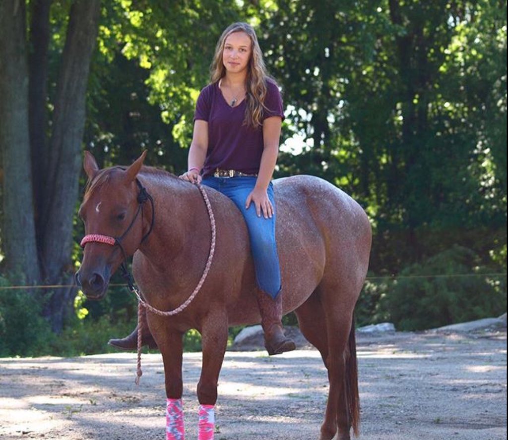 PolozzRUs's tweet photo. Horses wearing their PRU #polowraps!

https://t.co/IJhBcA4ktC https://t.co/dI6KLIkkeu