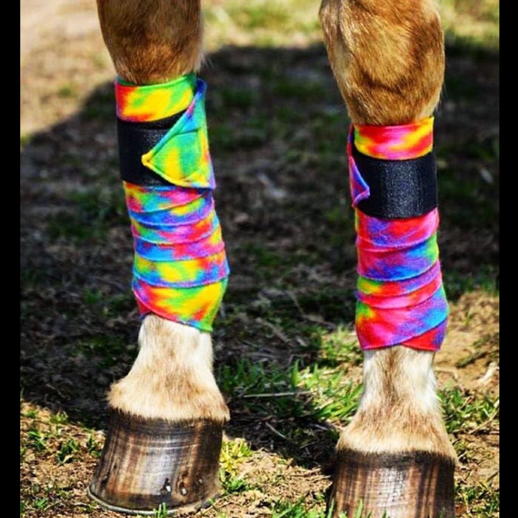 PolozzRUs's tweet photo. Horses wearing their PRU #polowraps!

https://t.co/IJhBcA4ktC https://t.co/dI6KLIkkeu