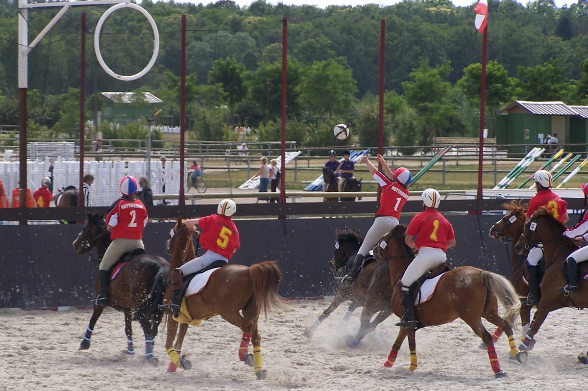 Find out more about <a href="/HorseballUK/">British Horseball</a> and how you can experience the excitement of this great team sport 🙌 ⬇
bit.ly/2iAGlc3