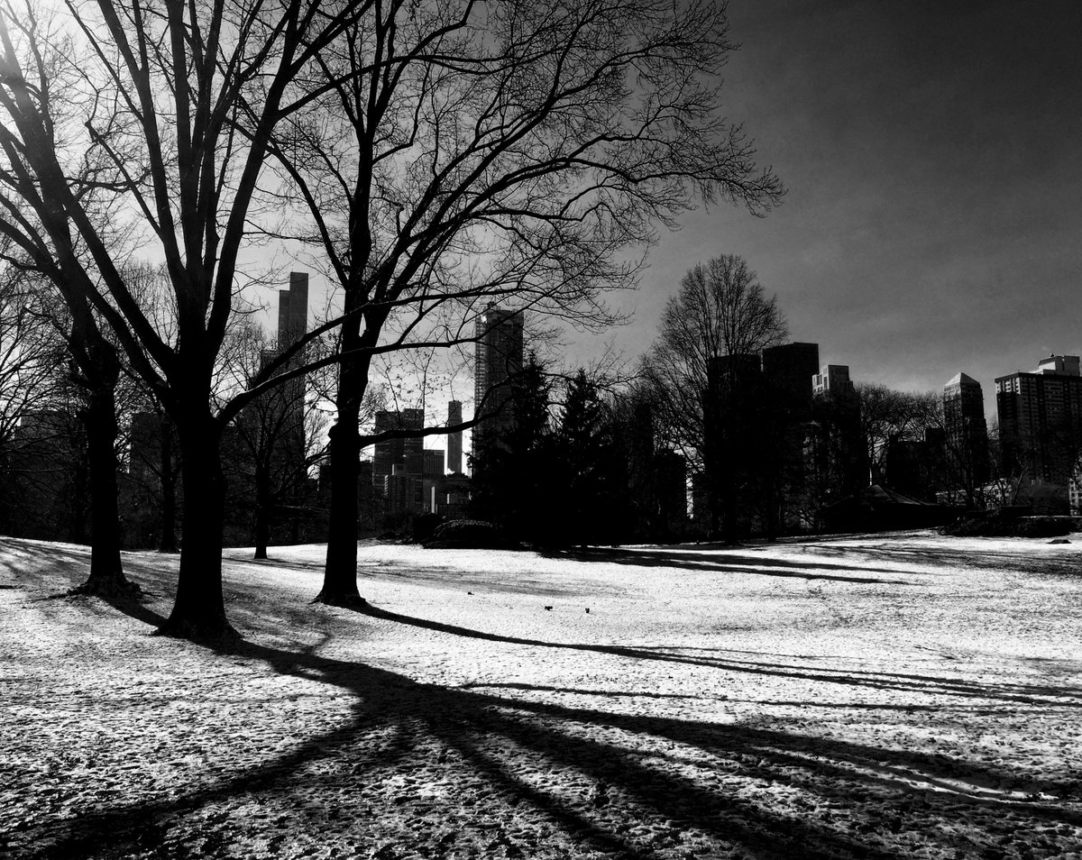 EatLoveSnap's tweet photo. Baby it's cold outside #GlovesNeeded #CentralPark #nyc #blackandwhitephotography @BWPMag @MBrannan_photos @fromcentralprk @CentralPark_NYC https://t.co/lInLbjDoLj