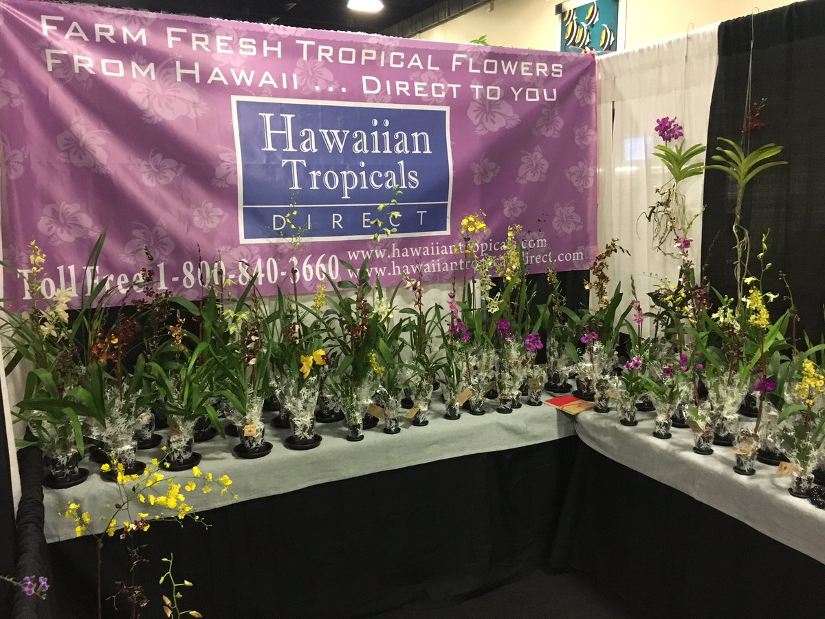 HawaiianTropD's tweet photo. Come meet us at the #TPIE show! https://t.co/ckqZYJVgeK