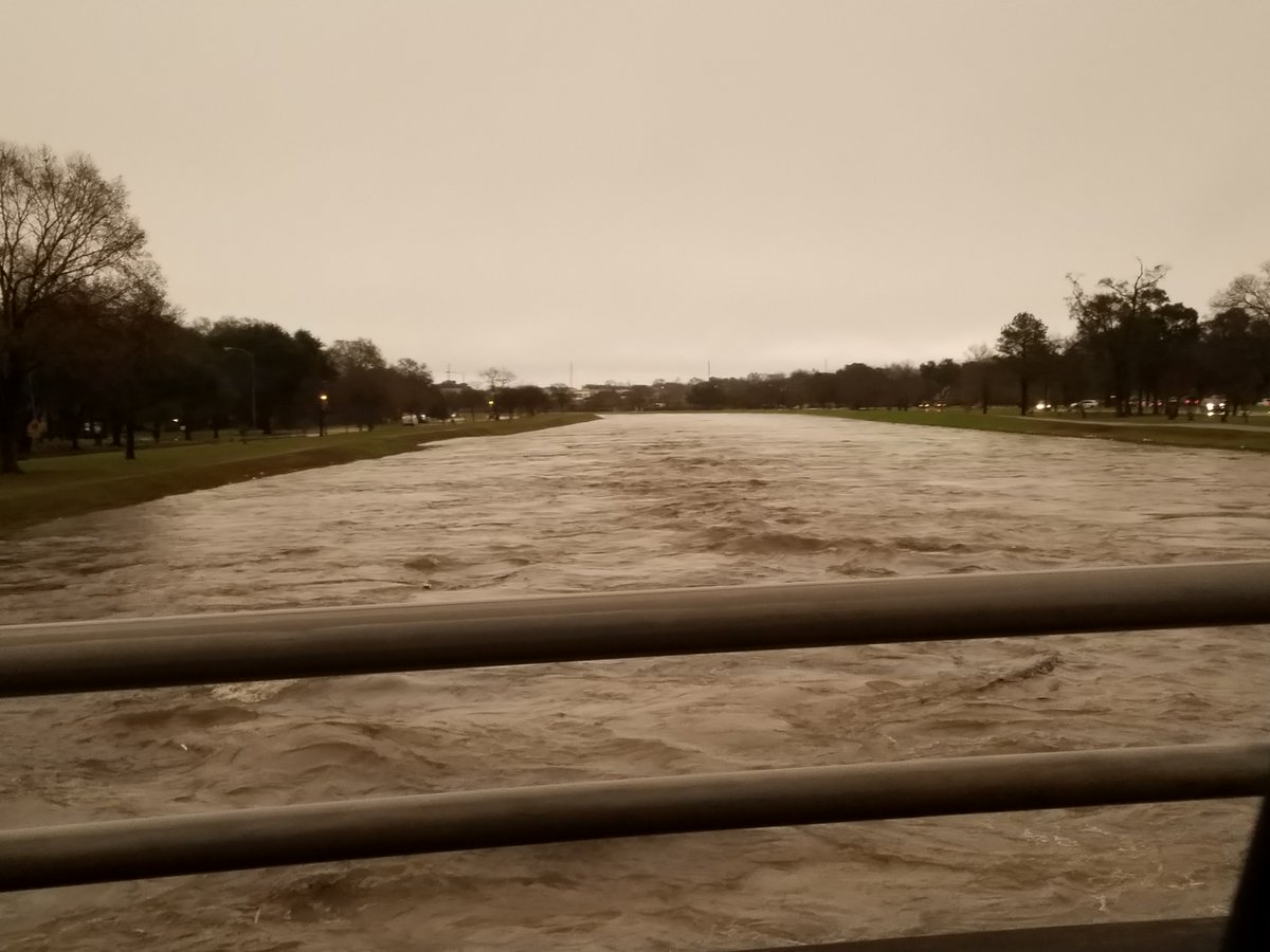 Sandra Wallace tweet media