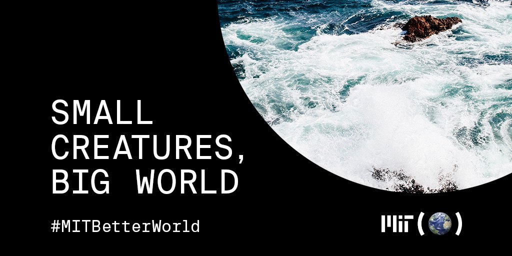 MITOCW's tweet photo. MIT is poised to lead in ensuring a healthy future for our planet and for humankind. https://t.co/GFN3SJq5Hh   #MITBetterWorld https://t.co/dcuDkQ1Jah
