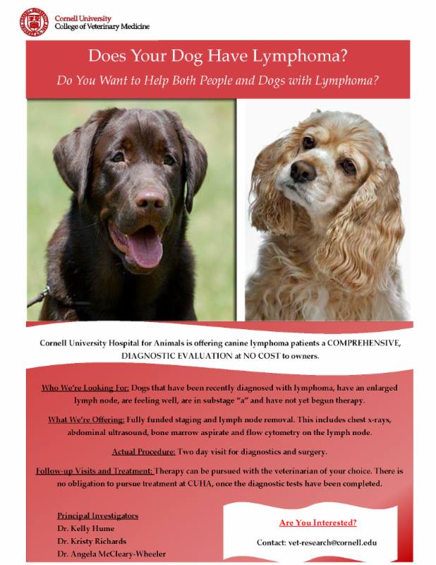 Cornell University College of Veterinary Medicine on Twitter: Cornell University College of Veterinary Medicine on Twitter: