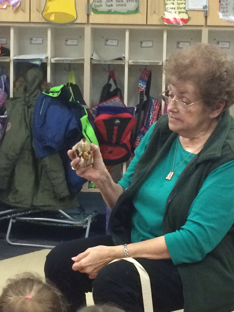 2nd_grade_scots's tweet photo. Mrs. Weiler came yesterday to share some of her beaver items with us! @HighElem https://t.co/8OxGhZSQlK