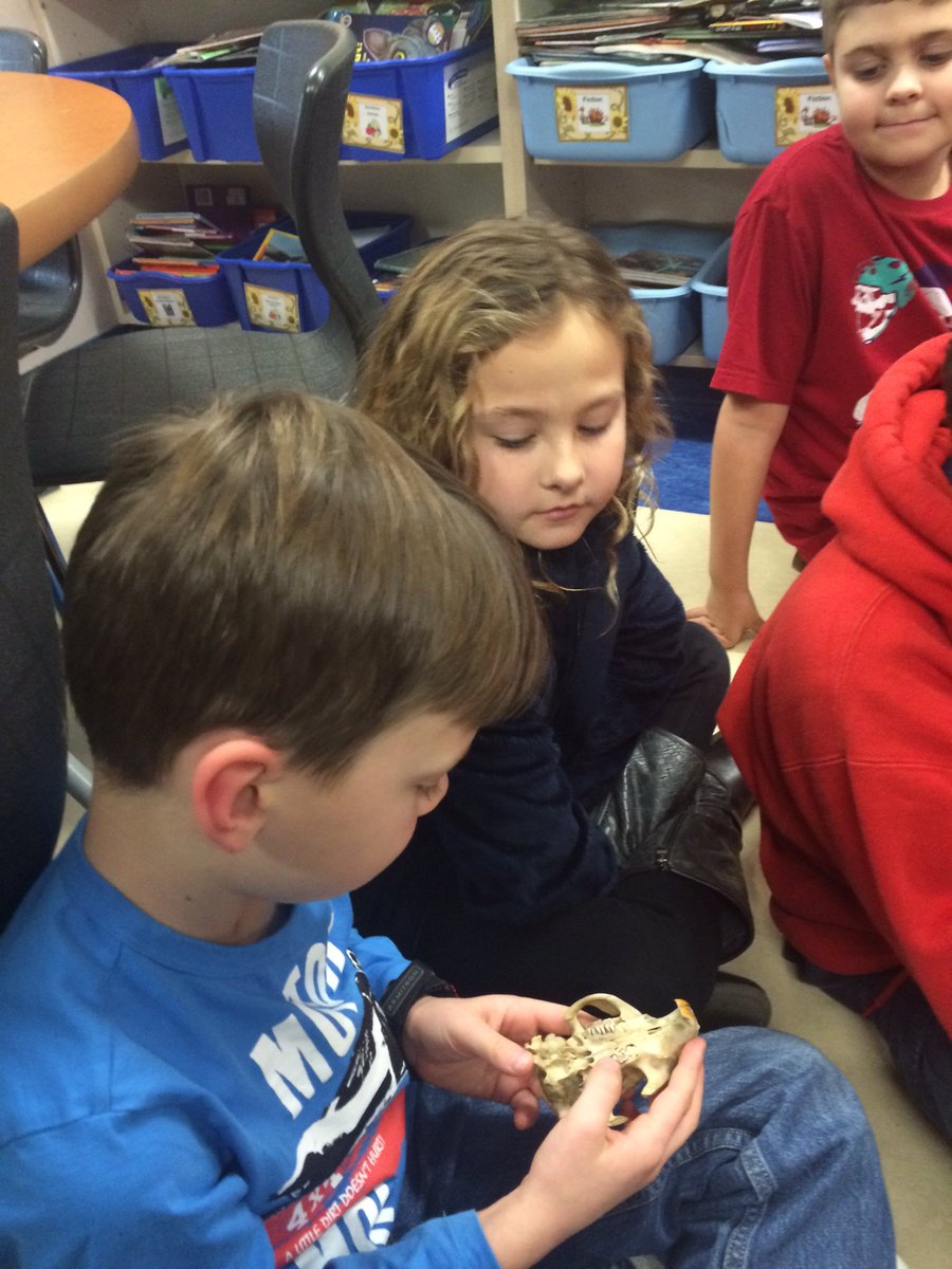 2nd_grade_scots's tweet photo. Mrs. Weiler came yesterday to share some of her beaver items with us! @HighElem https://t.co/8OxGhZSQlK