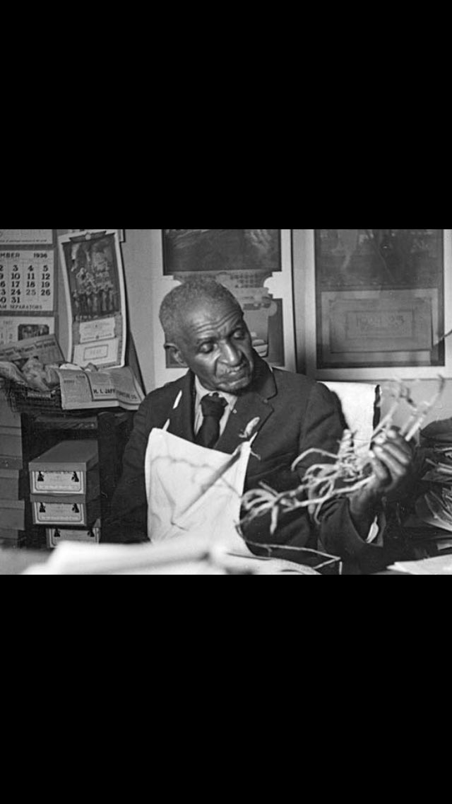 Fresh_Flames1's tweet photo. This Week In #BlackHistory The NAACP Spingarn Medal Was Awarded To The #PlantWizard Dr George Washington Carver Jan 17 1923 #wednesdaywisdom https://t.co/h4n682bp0I