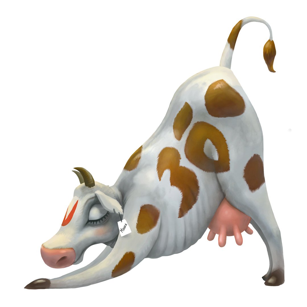 greenhoodapp's tweet photo. Here is a cow doing #yoga — as cows are loved in both Indian and Russian folklore. #russianyoga #andreigordeev #eligordeeva #cow #folklore https://t.co/brYfyZMk25