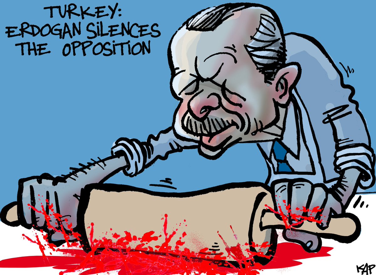 Risultati immagini per erdogan cartoon