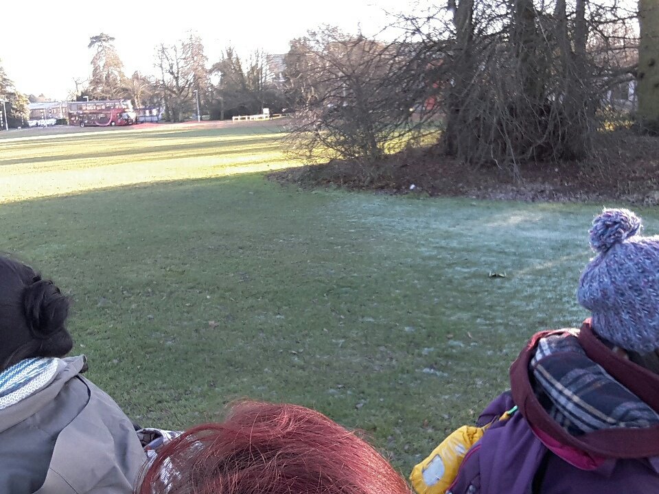 C_S_Hewitt's tweet photo. Bird point transect on campus.  Looking for robin, blackbird, blue tit and great tits.  #MScSISS @_BTO https://t.co/5YfzArIWMG