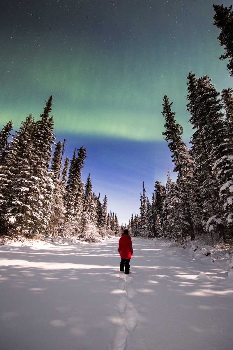 AdamHillPhoto's tweet photo. My friends came out with me to #photograph the #aurora and it turns out I had a number of willing models! https://t.co/9SgK0nHWbG