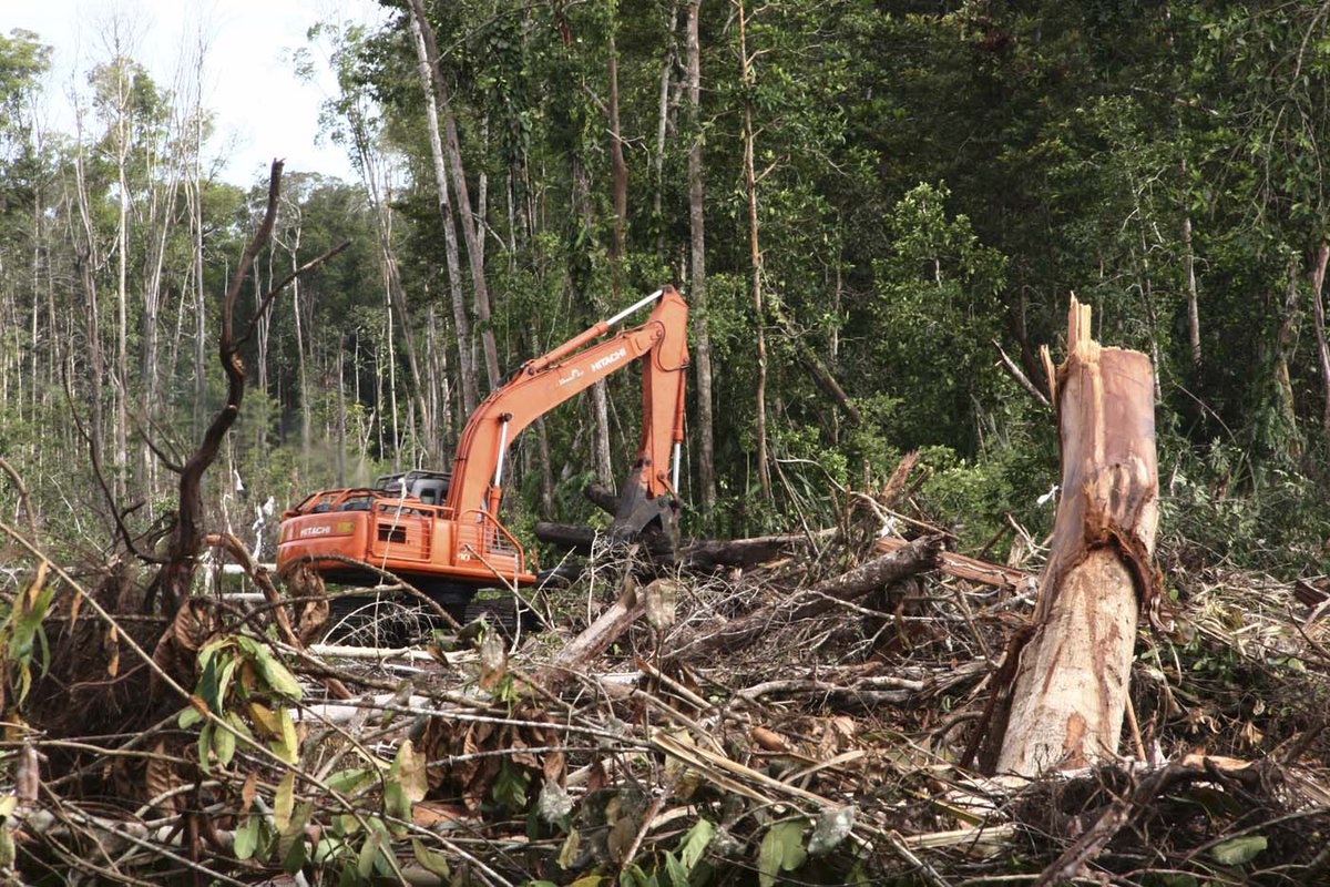 BioDivUs's tweet photo. Southeast Asia is in the grip of a Biodiversity Crisis https://t.co/pPpDkYAZu8 https://t.co/aTv8YsJhyd
