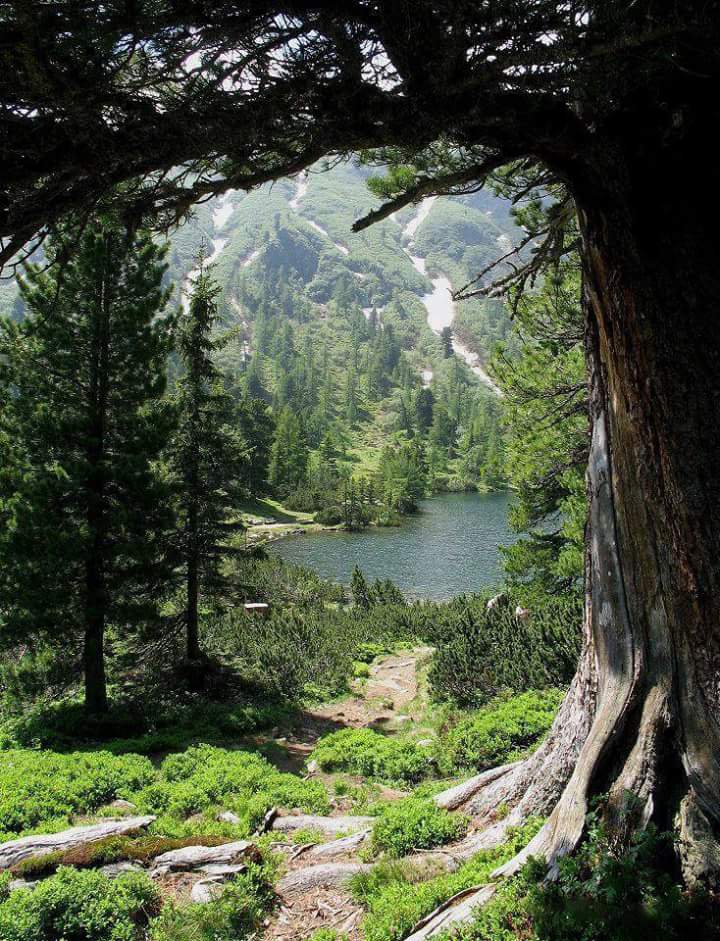 ما فيه ناسٍ من الاوجاع مرتاحه
والصبر في مثلها من ربنا منحه
لولا التعب ماعرفنا قيمة الراحه
ولولا المرض ماعرفنا قيمة الصحة