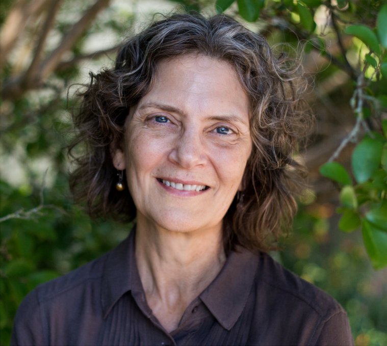 libfly's tweet image. 🌲🍃🍁Sur Libfly, l'interview de Jean Hegland, auteure de Dans la forêt publié chez @GallmeisterHL #IntoTheForest libfly.com/blog/442/renco…