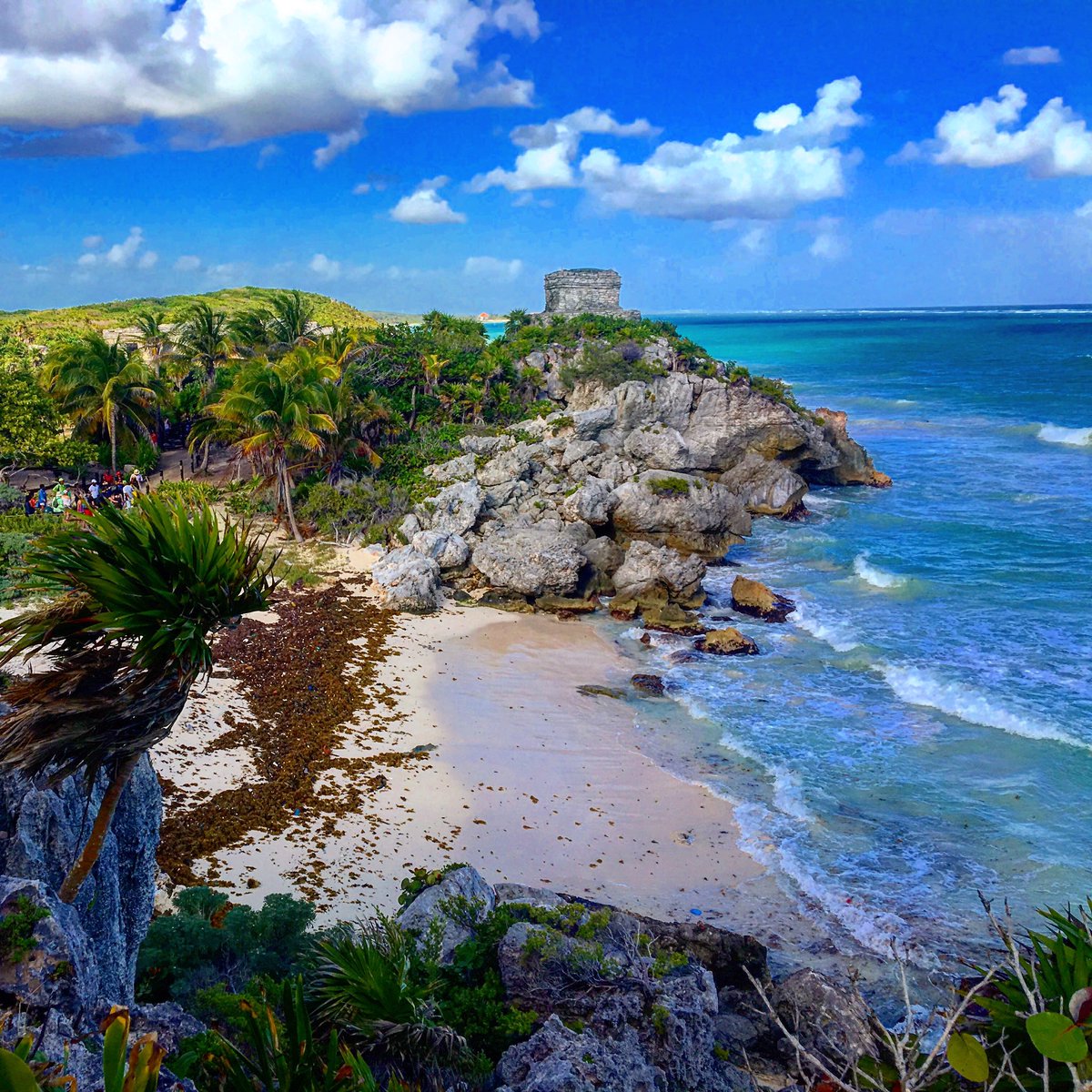 pack0075's tweet image. Tulum, México