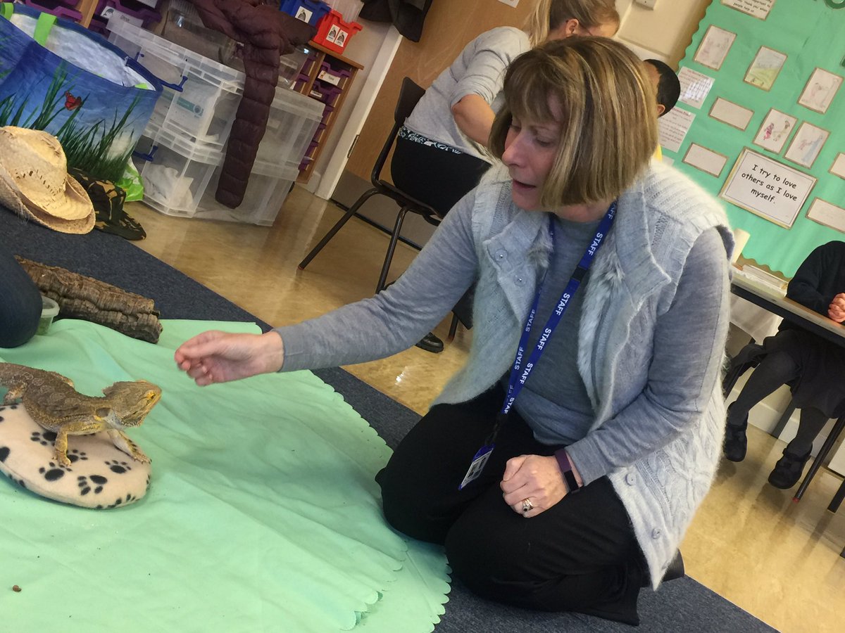 Stantclayton's tweet photo. Hands on learning in yr2 @LionLearners .Creepy crawlies all over the place.We made so many new friends.🐛🐜🕷 https://t.co/ylQ6FYEucQ