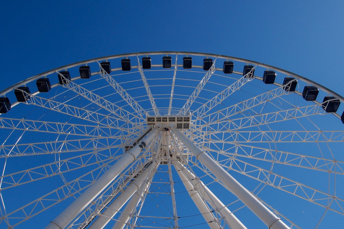 Крутые vr игры про парк аттракционов. Парк остров мечты американские горки. Team wild ride. Остров мечты американские горки черепашки. Парк аттракционов vr игра.