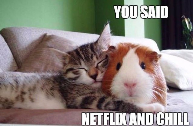 StreamSavvy's tweet photo. Netflix and chill #3wordsbetterthanIloveyou https://t.co/FYNgUSCrS2