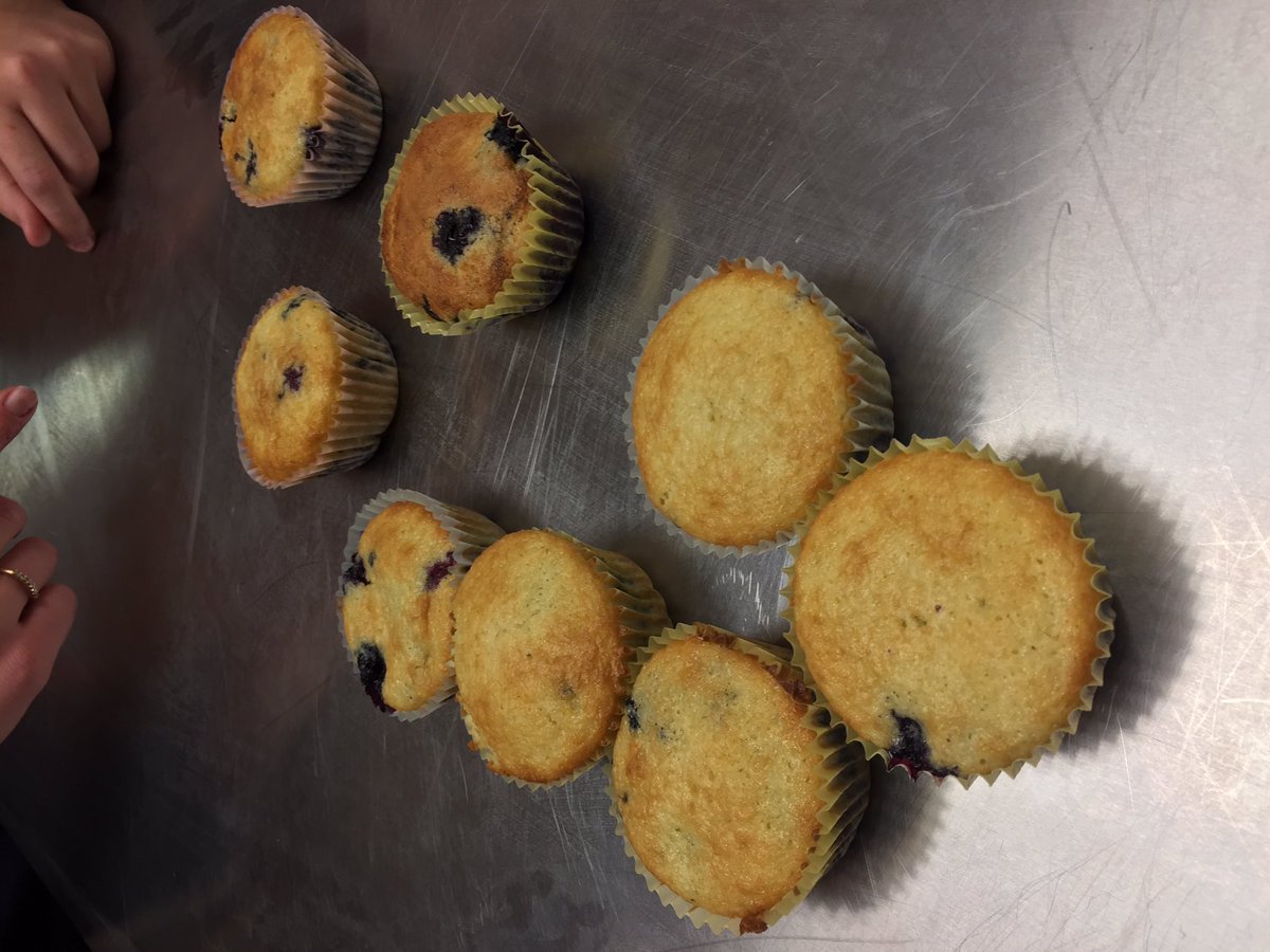 cghs_fcs's tweet photo. Smells delicious in Ms. Berg's room! The 7th graders did an awesome job baking homemade blueberry muffins this morning! #SayYestoFCS https://t.co/sqksSbny57