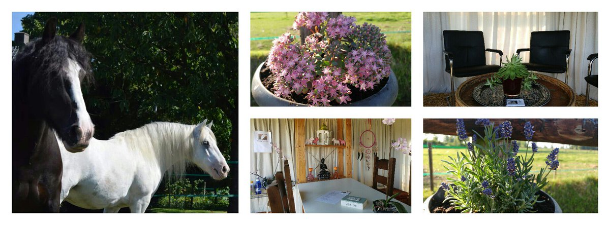 DannyNehm's tweet image. Heb jij je al opgegeven voor onze mediation intervisiegroepen?