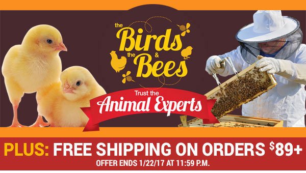 FarmandFleet's tweet photo. Eager to Learn More about Beekeeping or Raising Chickens? We Can Help! https://t.co/2yzEI9fb7r https://t.co/AYZqS2x5ck