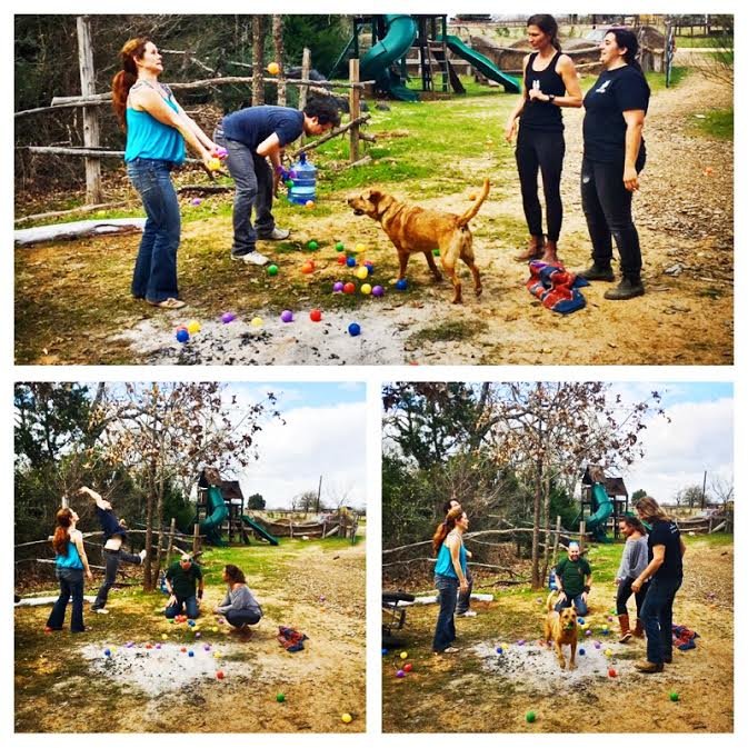 KidsMustMove's tweet photo. Having so much fun everyone wants in, including Luna dog :) #playdate #horseboy #kidsmustmove #movementmethod #texas #dog https://t.co/8tsVbrXPUk