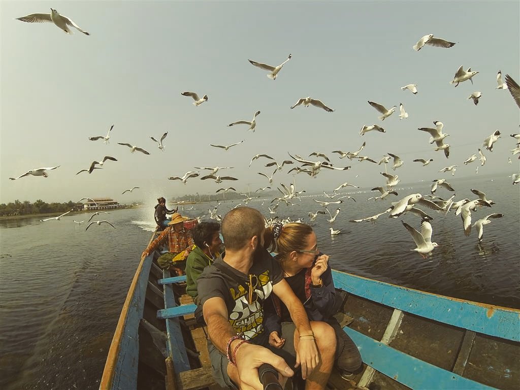 DandingTrip's tweet photo. Gaviotas! #Myanmar #indagwyi #dandingtrip https://t.co/BdWhkuMlMt