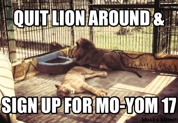 MandaLoo_93's tweet image. Trip details &amp;amp; online application @ moyouth.com &amp;amp; mo-yom.com #MOYOM17 #Austria #MOYOM13 #Honduras #ChangeYourWorld