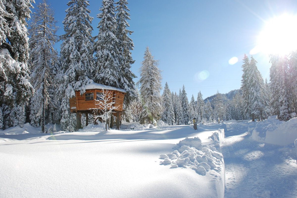 campingsexten's tweet photo. #baumhaus #casasullalbero #treehouse https://t.co/zlWqCqwbQT