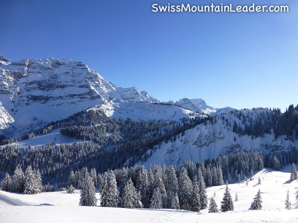 some great #skiing over at <a href="/LesDiablerets/">Les Diablerets</a> &amp; @VillarsTourisme today #myvaud #switzerland #swiss #alps