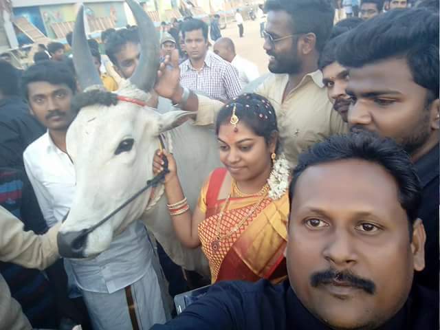 ikamalkanth's tweet image. இன்று திருமணம் ஆன தம்பதியினர் கோவை போரட்டத்தில் காளைகளுடன் கலந்துக்கொண்டனர். 

அவர்களுக்கு எனது புரட்சி வாழ்த்துக்கள்...