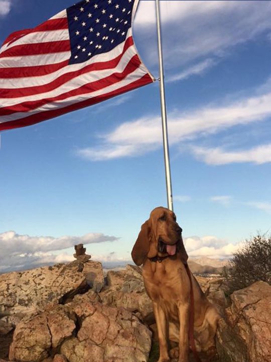 RSO's tweet photo. #K9Windy & her handler Dep. Ochoa go on regular hikes & runs to keep them both in shape & mission ready. Here's a pic of Windy after a run. https://t.co/MmzyOZUNvi