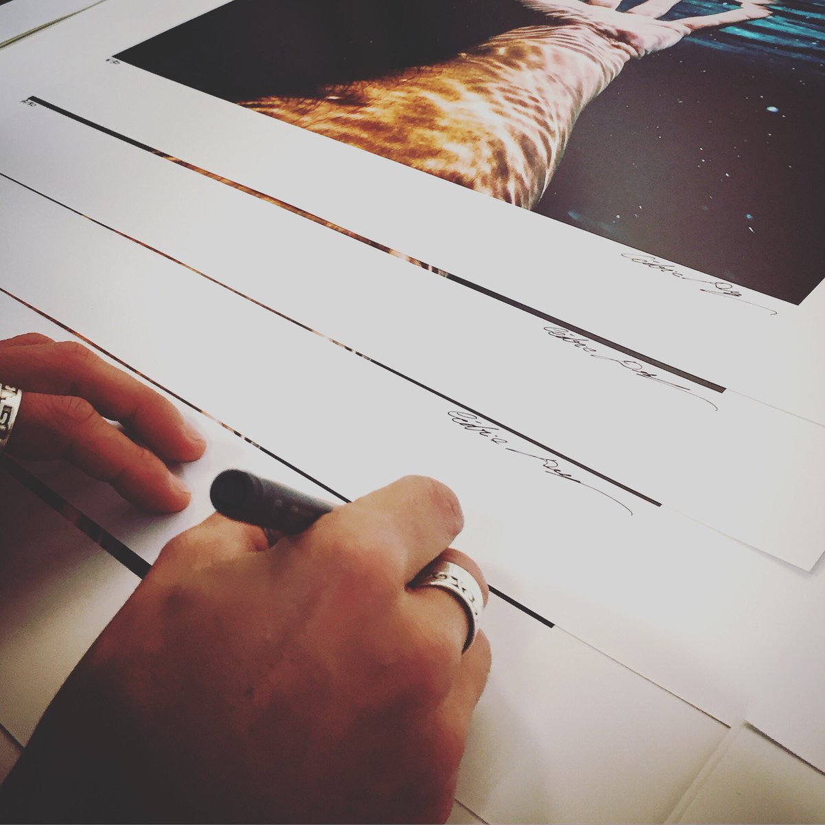 Art Backers tweet media