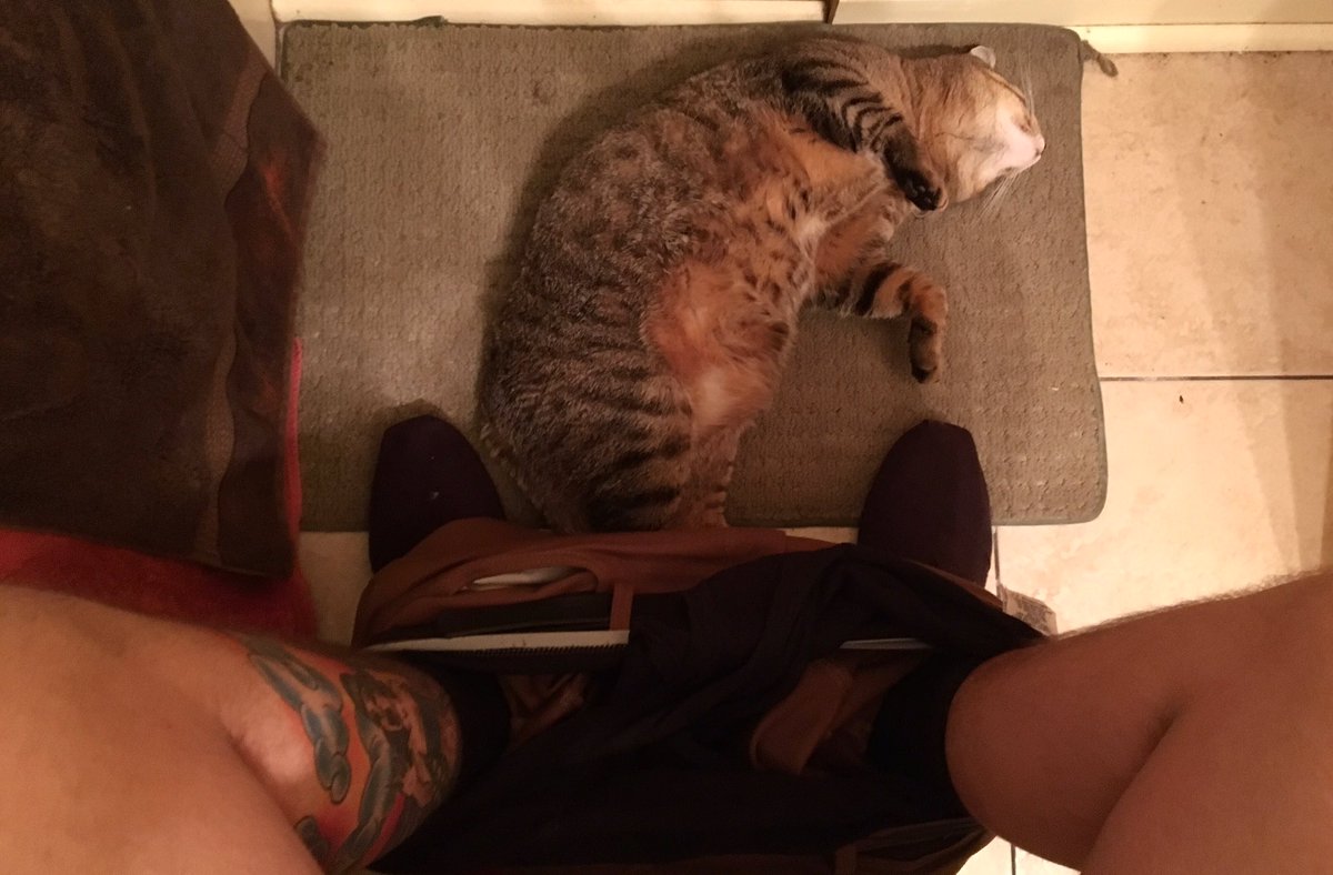 KcPhilthy's tweet image. #poopinpals